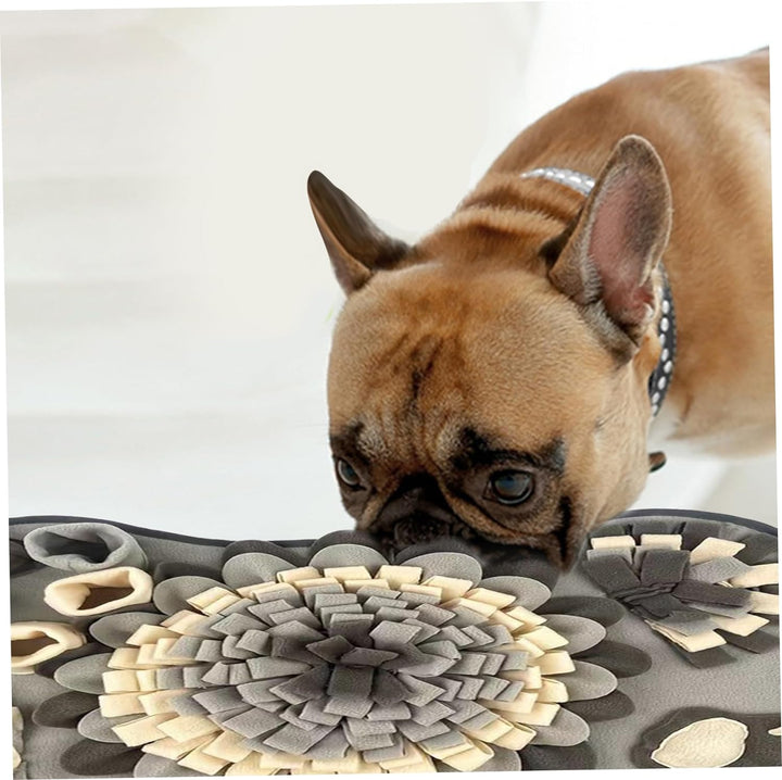 Colorful foraging snuffle mat for dogs, promoting slow feeding and pet enrichment activities.