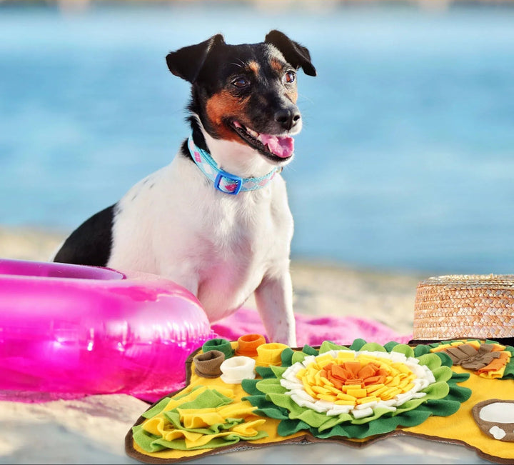 Colorful flower design snuffle mat, a perfect dog toy for mental enrichment and slow feeding