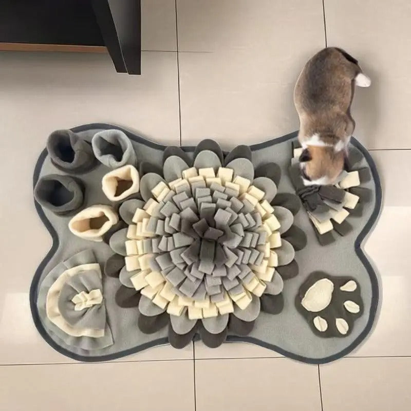 Overhead view of an interactive snuffle mat, a pet enrichment toy for mental stimulation and fun.