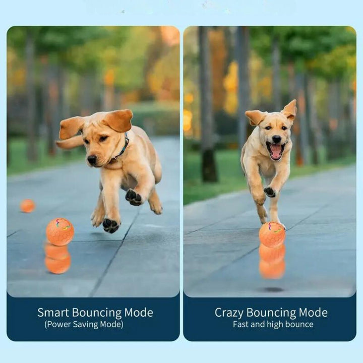 Chew-resistant interactive dog toy ball for playful puppies.