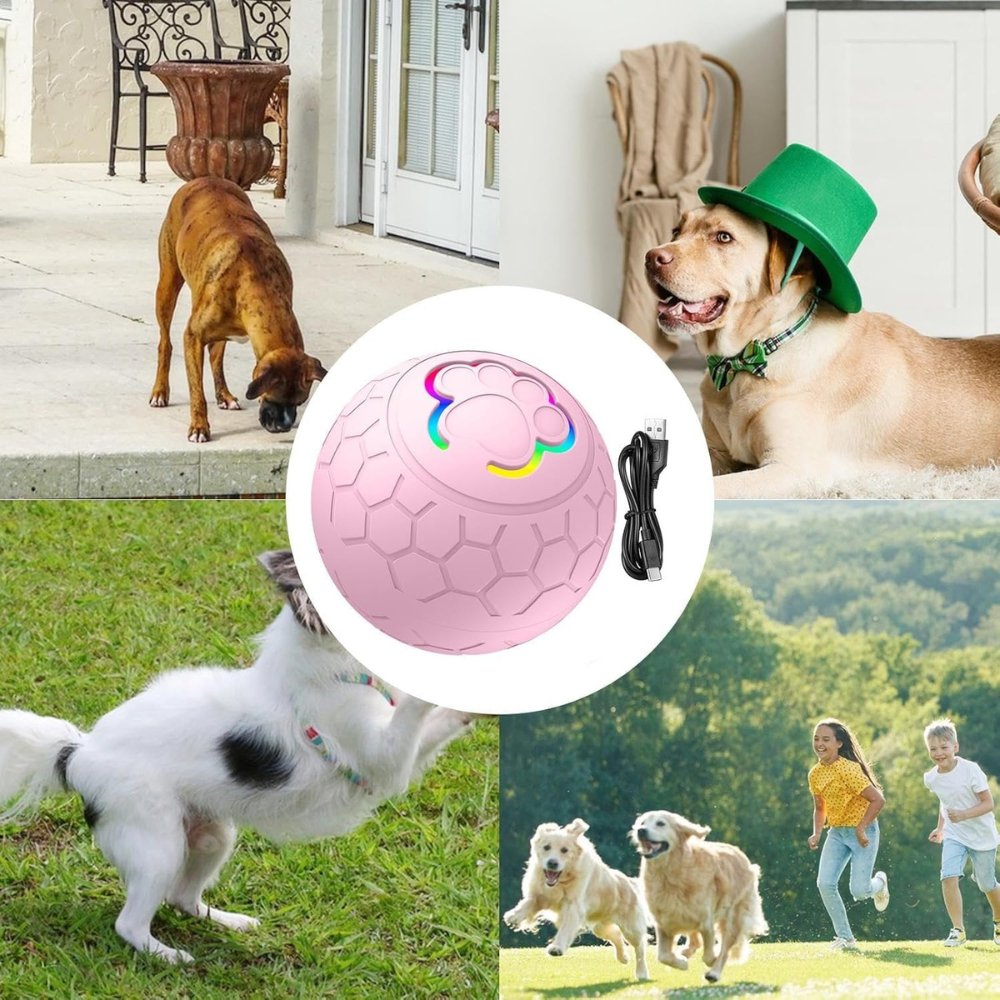 Smart bouncing dog toy ball for engaging pet play & exercise.