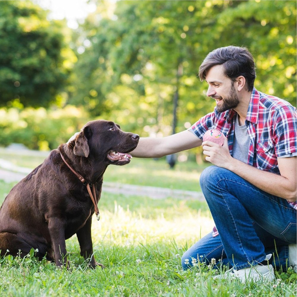 Interactive dog toy ball, a perfect pet accessory for endless fun.