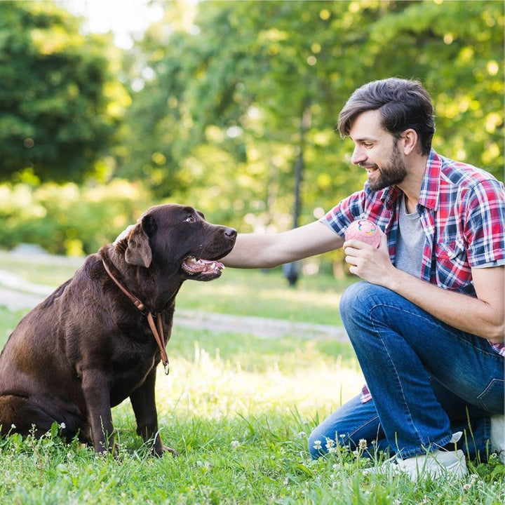 Interactive dog toy ball, a perfect pet accessory for endless fun.