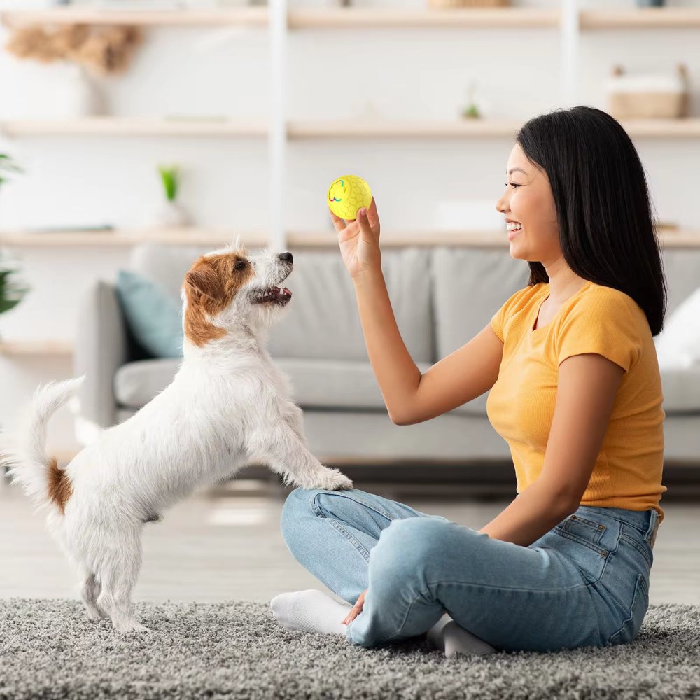 Durable interactive dog toy ball, ideal for stimulating pet play.
