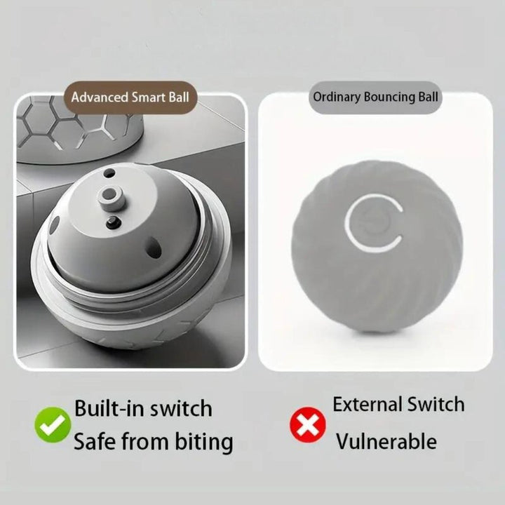 Smart interactive dog toy ball promoting active play & training.