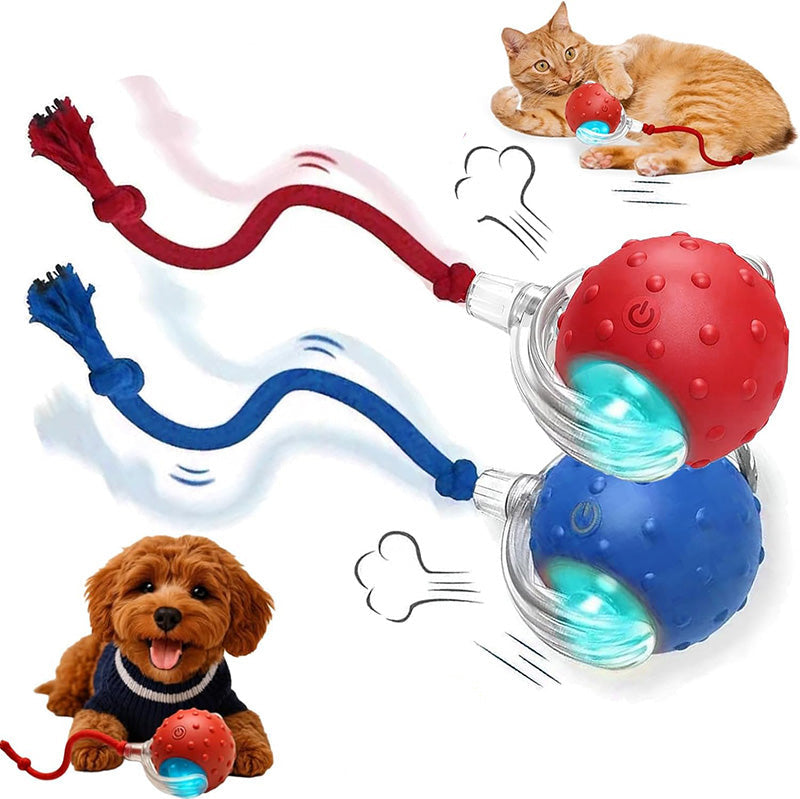 Durable interactive dog ball, self-rolling, providing engaging play and pet entertainment