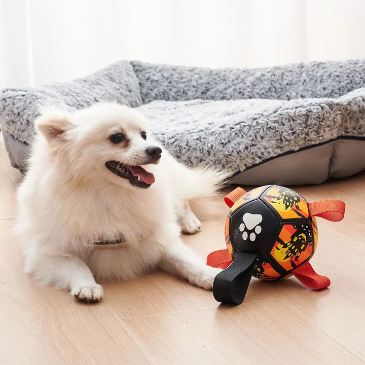 Durable interactive dog toy featuring a rubber ball and braided nylon rope for tugging.