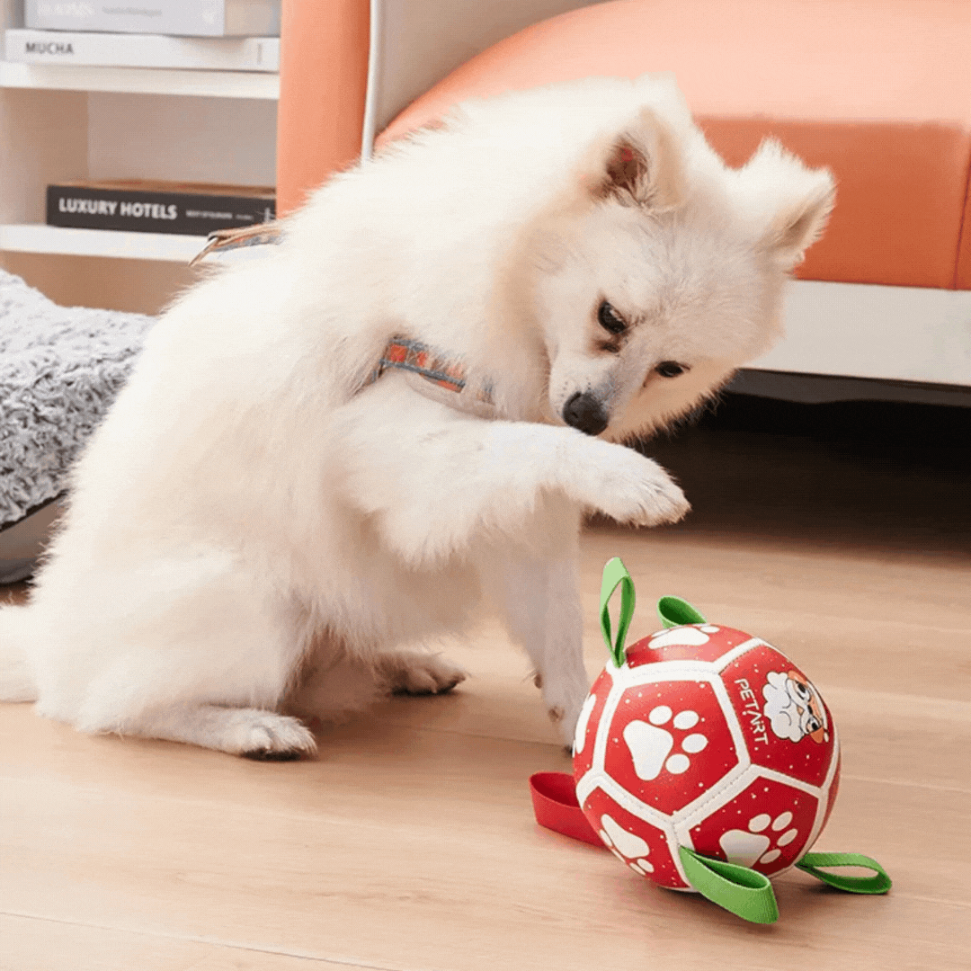 Pet supplies: Orange interactive dog toy ball with strong nylon rope and grip handles.
