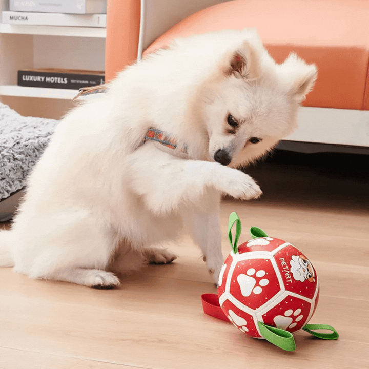 Pet supplies: Orange interactive dog toy ball with strong nylon rope and grip handles.