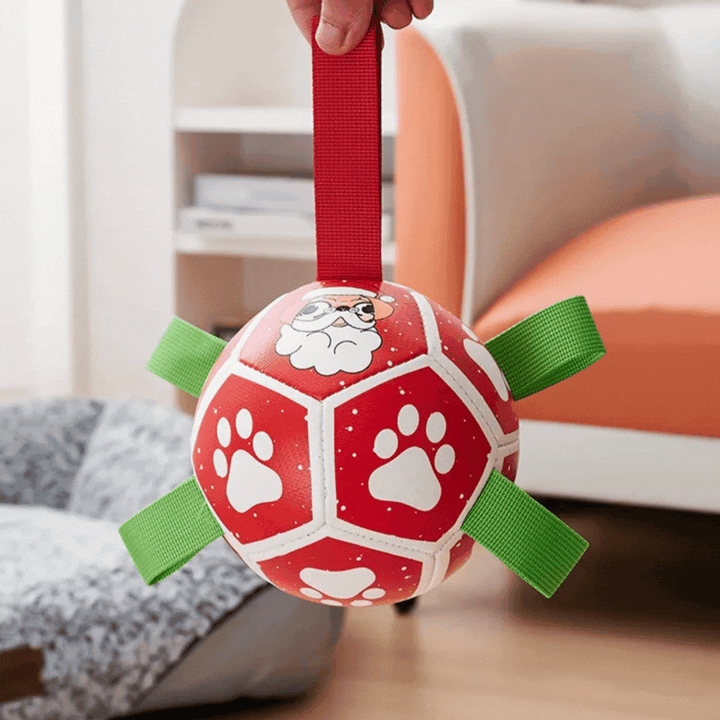Interactive chew toy for dogs, featuring a robust ball and handle-equipped nylon rope.