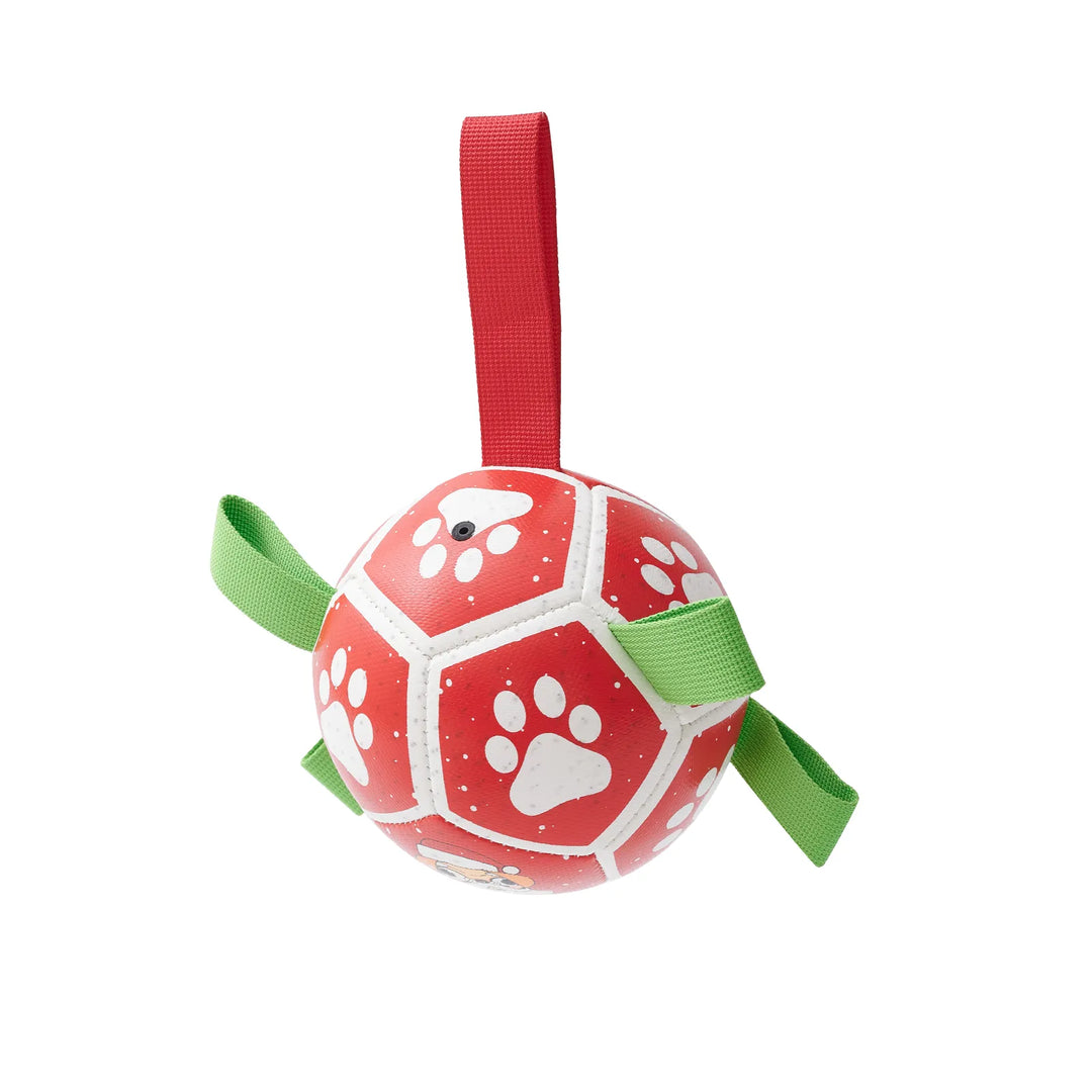 Dog Christmas gift: Interactive ball and nylon rope toy, great for festive playtime.