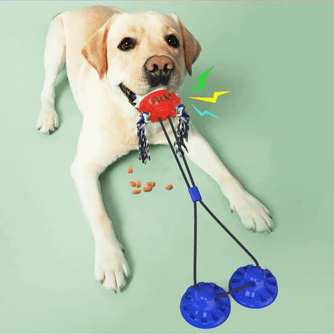 Interactive dog toy with blue suction cup, dispensing treats, stimulating mental play for pets.