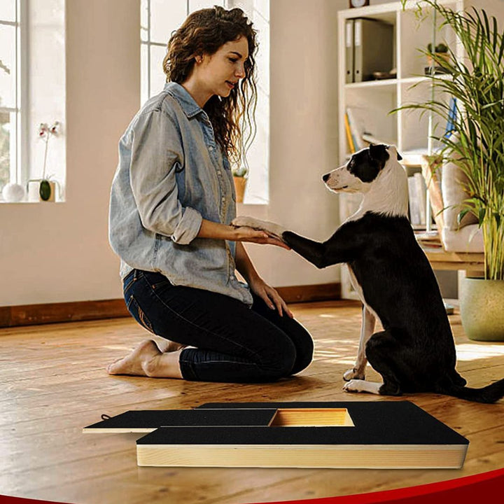 Paw health focused interactive treat mat, a puzzle feeder for dogs during nail care