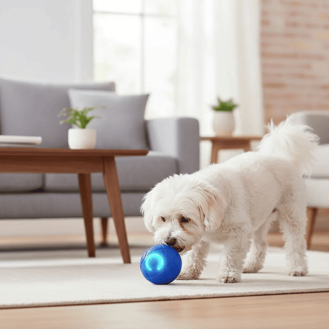 Close-up of vibrating interactive pet ball toy, red LED light, for dog enrichment and playtime