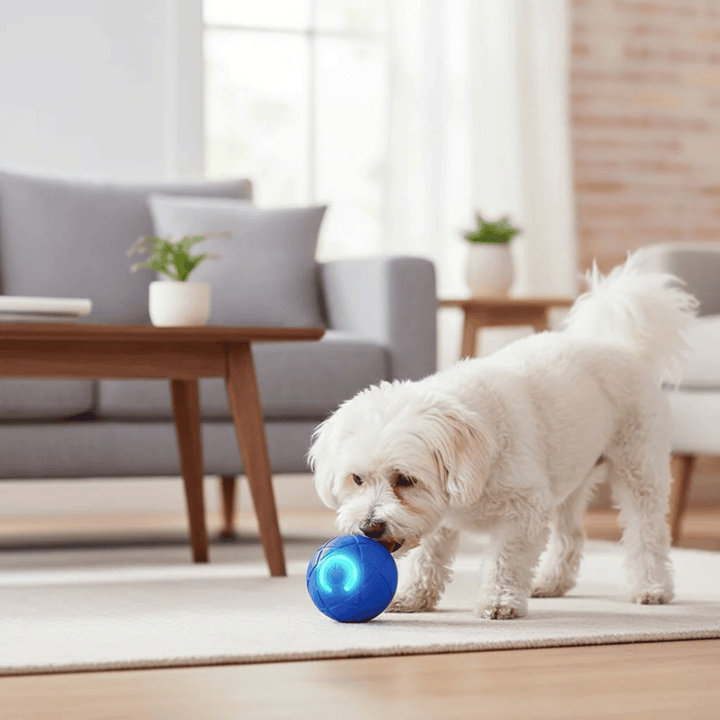 Close-up of vibrating interactive pet ball toy, red LED light, for dog enrichment and playtime