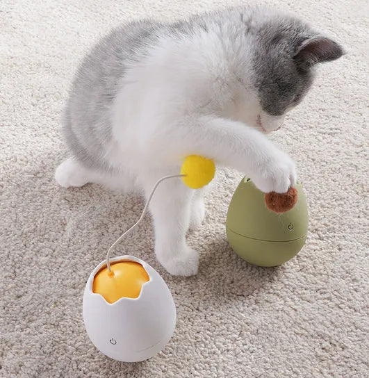 Durable egg cat toy designed for pet exercise and interactive play with a moving ball