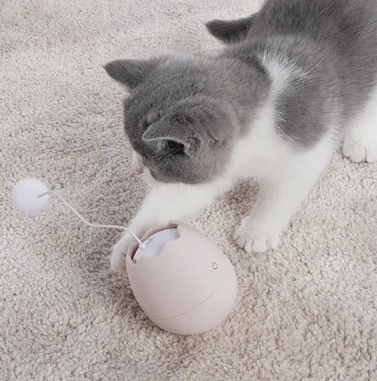 Feline fun: Egg-shaped cat toy with an enticing moving ball, ideal for active cats