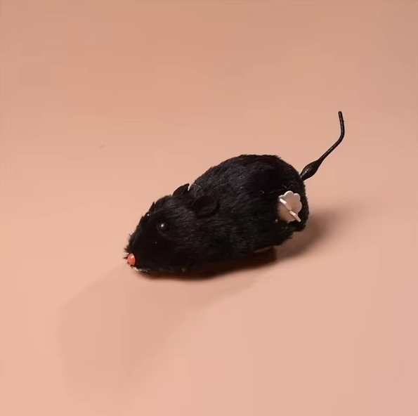 Cat enrichment toy: moving electric mouse for stimulating indoor play