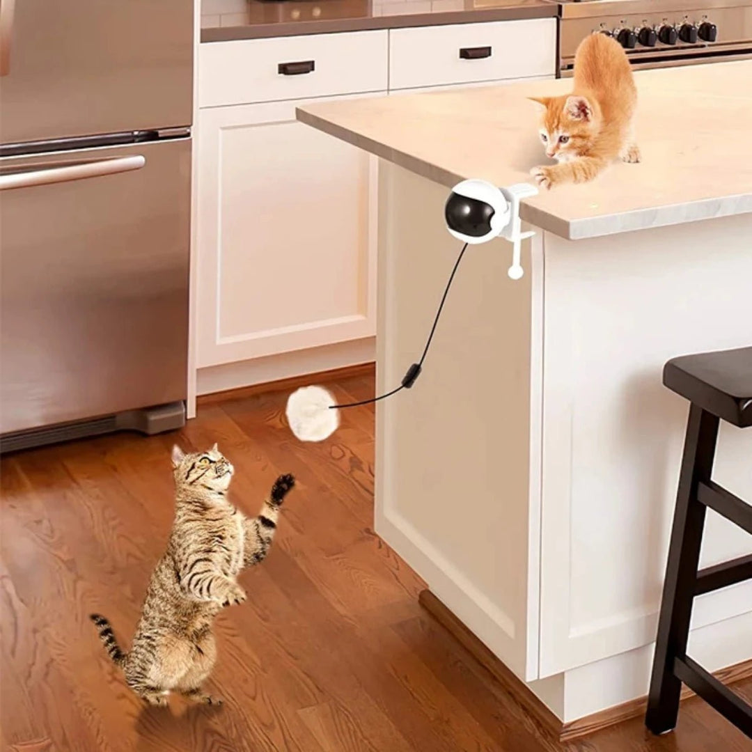 Cat lifting ball toy, a fun electric pet product designed for independent cat play and entertainment.