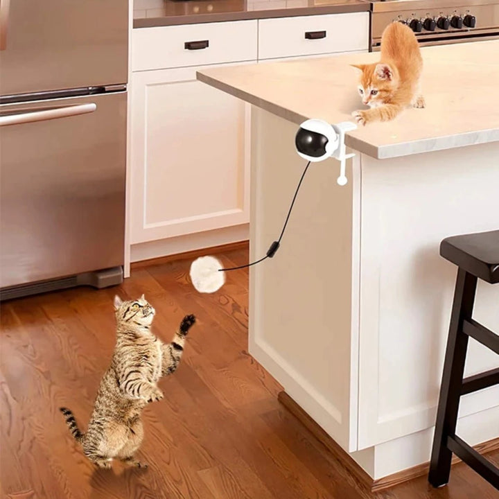 Cat lifting ball toy, a fun electric pet product designed for independent cat play and entertainment.