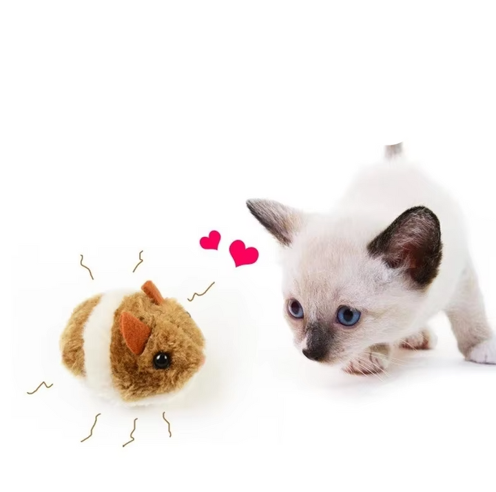Interactive electric plush hamster cat toy for pet enrichment and exercise