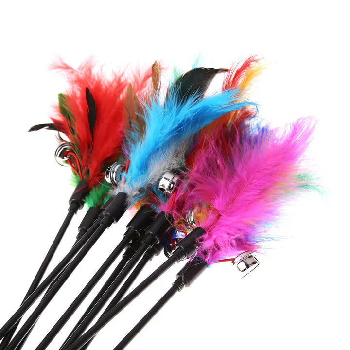 Interactive Feather Wand Cat Toy with colorful feathers, stimulating feline play and exercise.