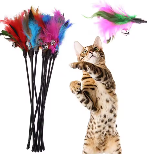 Five-piece feather wand cat toy set, perfect for engaging interactive playtime with your pet.