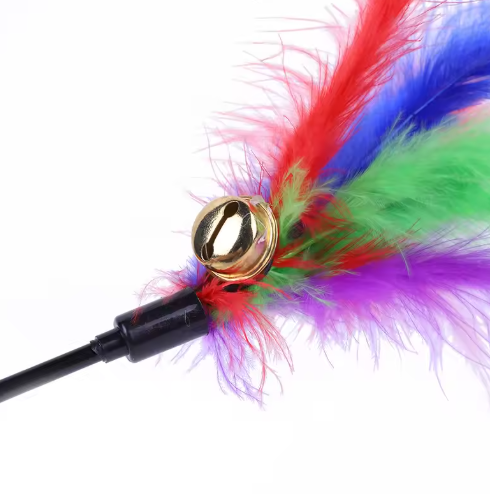 Variety pack of feather wand cat toys, offering endless feline fun and pet entertainment.