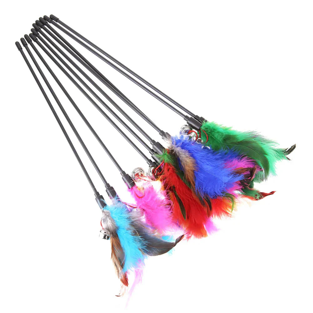 Close-up of a vibrant feather attachment on an interactive wand cat toy for active pets.
