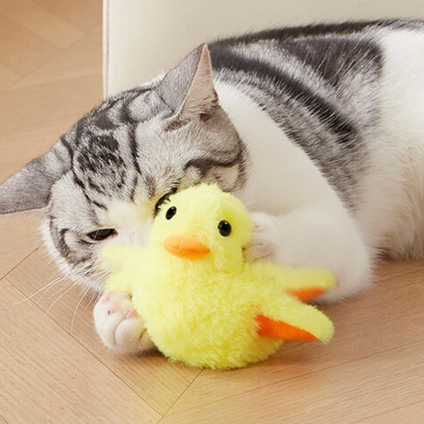 Interactive Flapping Duck Cat Toy, a plush animal enrichment toy for cats