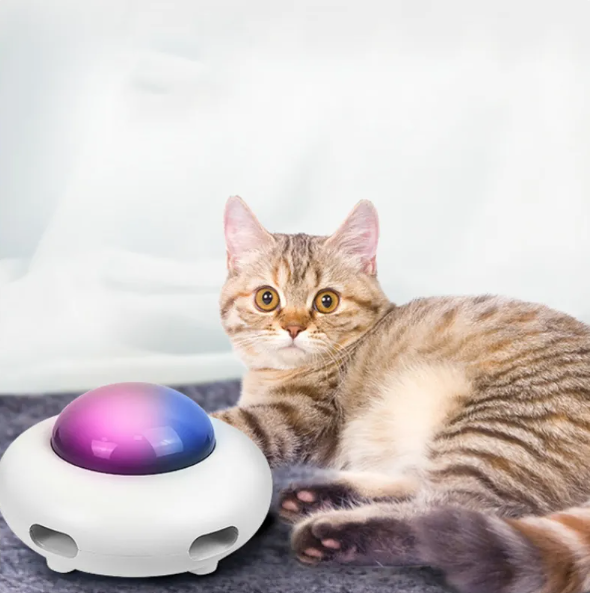 Pet entertainment: LED cat teaser toy with feather, promoting exercise and boredom relief for cats.