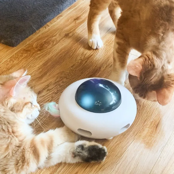 Close-up of interactive cat toy: LED light with a natural feather for engaging kitten and pet play.