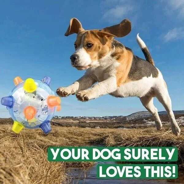 Durable interactive jumping dog toy with LED lights for active play and mental stimulation.
