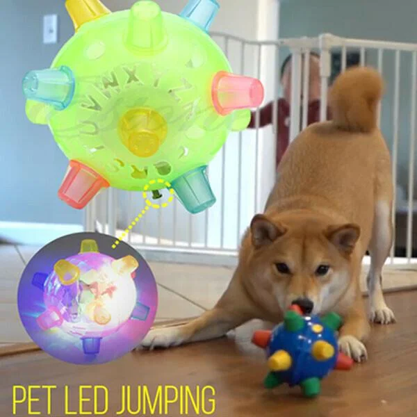 Perfect dog gift: interactive LED jumping ball for endless bouncing fun & active pet play.
