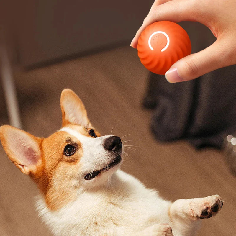 Rechargeable LED pet ball, durable dog toy providing engaging cat entertainment and pet exercise.