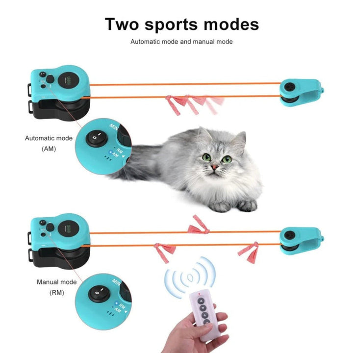 Interactive cat toy, white with small lights, moving on a carpet, providing entertainment for an indoor feline.