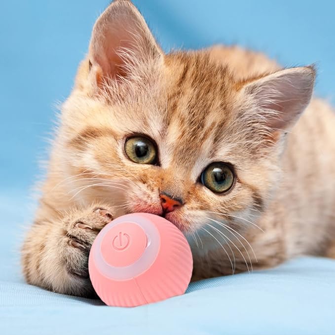 Interactive moving ball for cats, automatic LED cat toy for pet exercise and feline enrichment