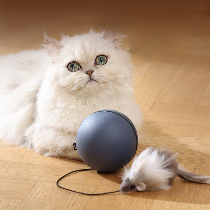 Interactive moving cat ball toy with fluffy tail for feline playtime and enrichment
