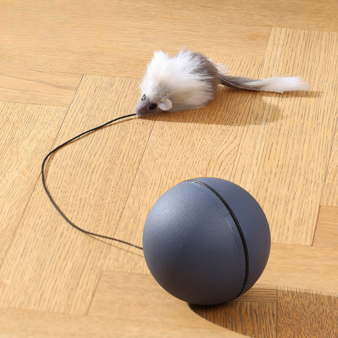 Enrichment cat toy: moving ball with a tail provides stimulating automatic motion for felines