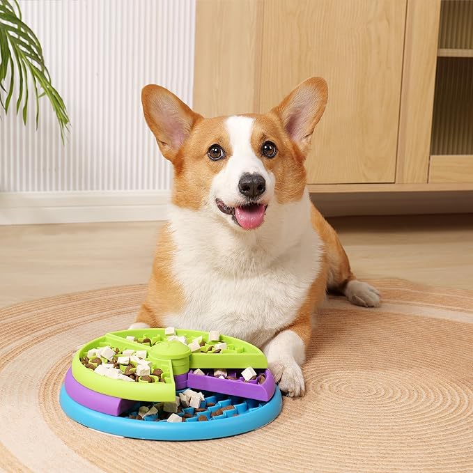 Interactive multi-level pet activity slow feeder bowl for mental stimulation, suitable for dogs & cats.