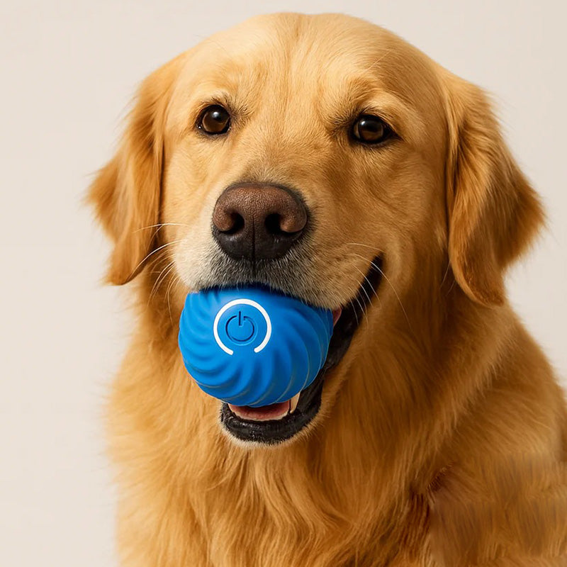 Jumping and glowing pet ball, a durable interactive dog and cat toy. Rechargeable pet supplies.