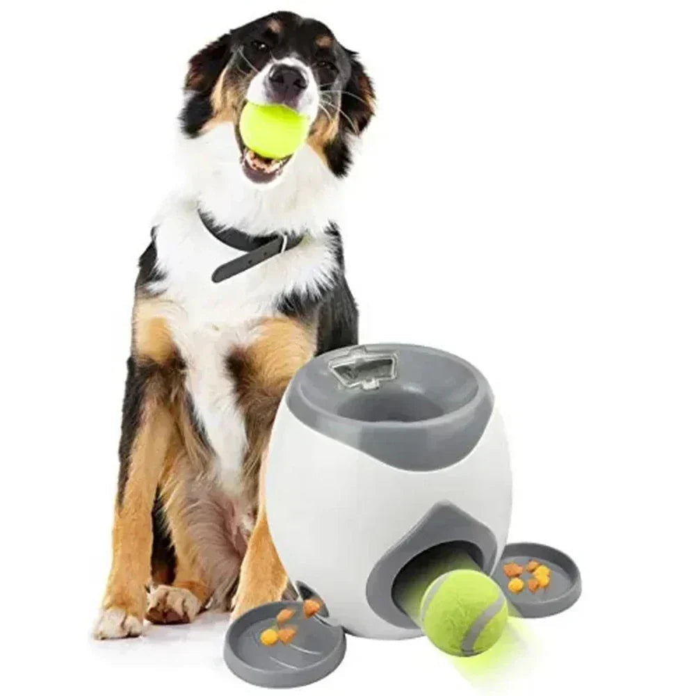 Happy dog fetching a ball from an automatic pet launcher, promoting mental stimulation