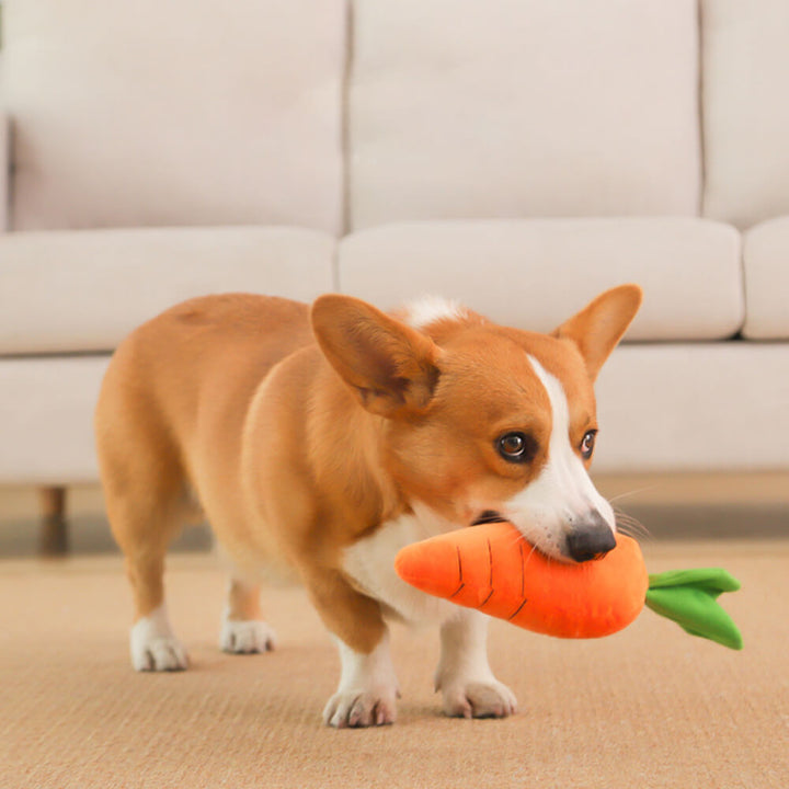 Close-up of a soft, interactive carrot dog toy with squeaker, perfect for pet playtime.