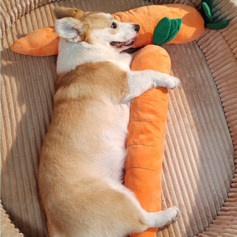 Plush carrot dog chew toy with squeaker, designed for interactive pet fun and healthy chewing.