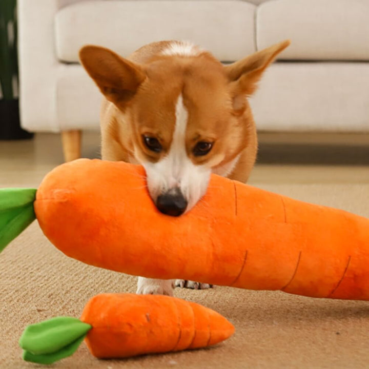 Vibrant orange carrot squeaky plush toy for dogs, ideal interactive pet accessory for playtime.