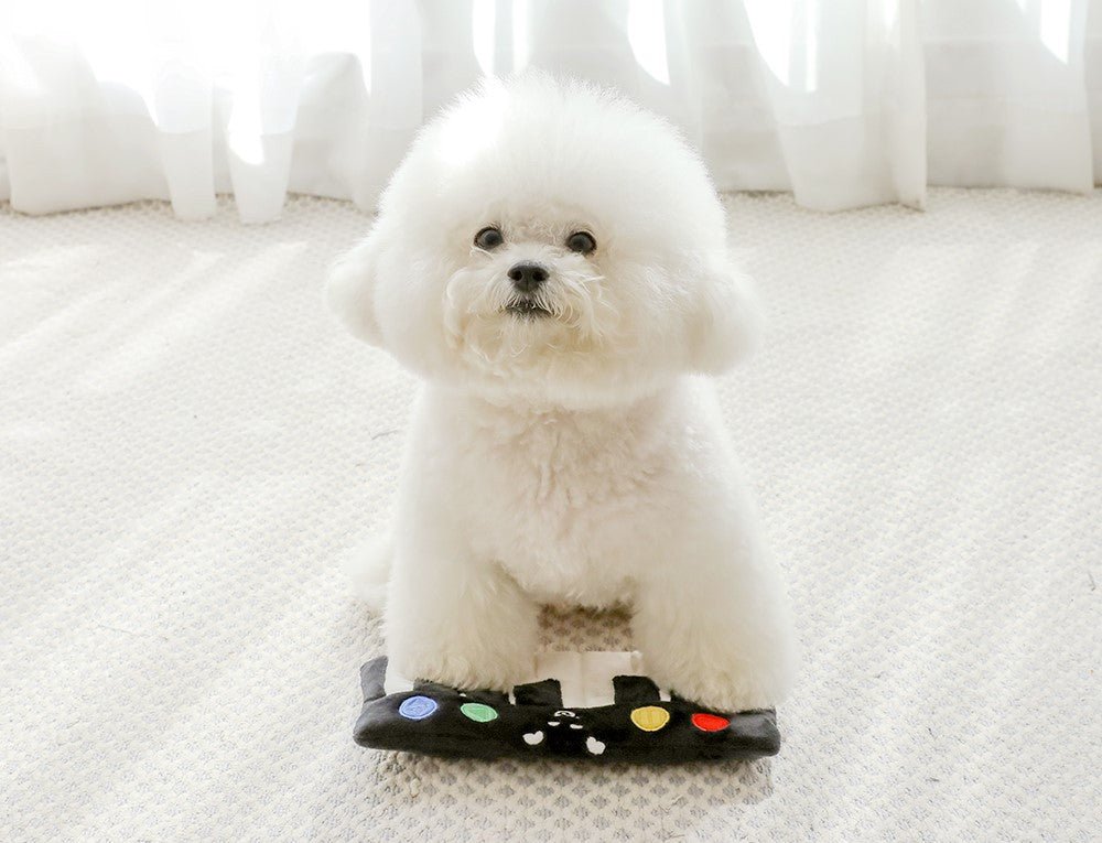 Dog using Interactive Pet Piano Treat Toy, an enrichment pet puzzle with suction cups