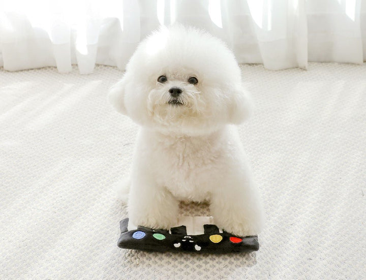 Dog using Interactive Pet Piano Treat Toy, an enrichment pet puzzle with suction cups