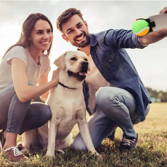 White interactive pet play ball, cat toy, with a cat playfully batting at it on a wooden floor
