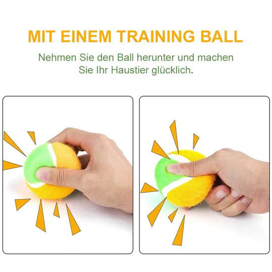 Battery-operated interactive pet play ball, a fun pet toy for indoor cat and dog exercise