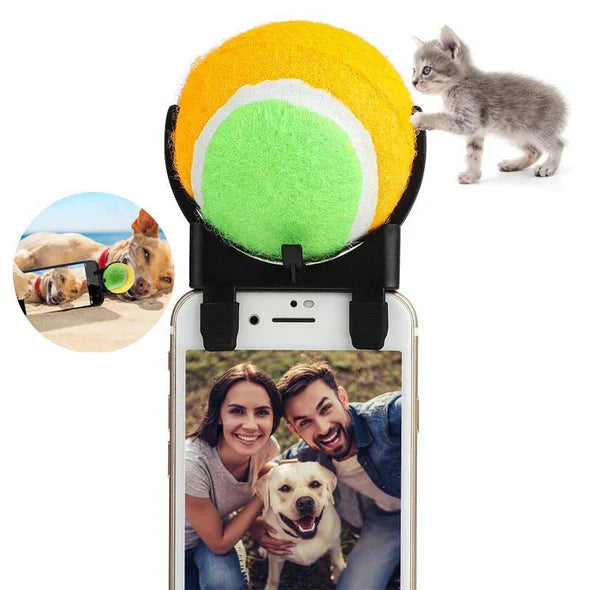 Small automatic interactive pet play ball, perfect indoor pet toy for endless entertainment